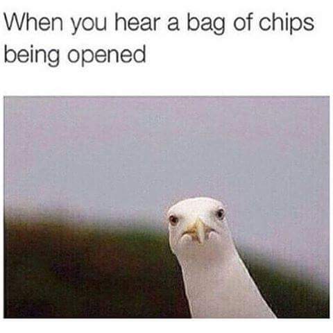 tumblr_nwqtejNtSa1tm1x8po1_500