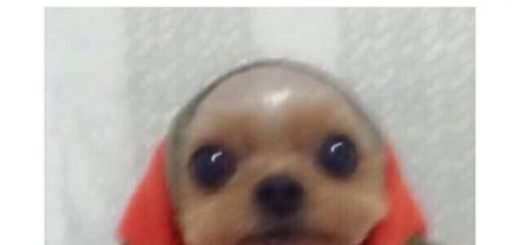 tumblr_o718s3SyAs1tm1x8po1_500