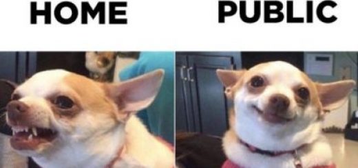 tumblr_o73a8hbTKy1s7fwo7o1_500