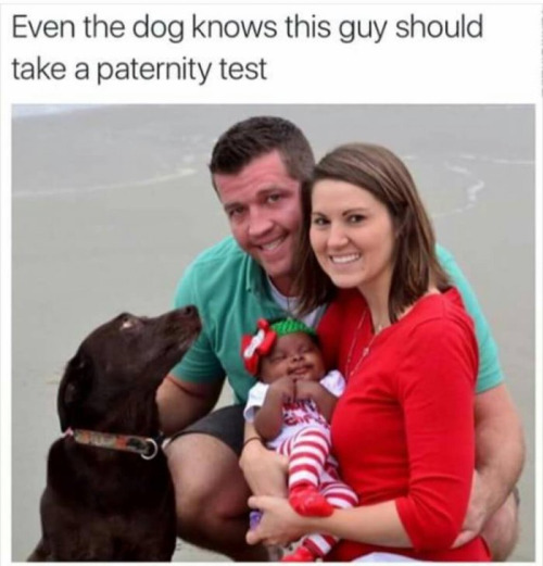 tumblr_o76378vfWZ1uvjotlo1_500