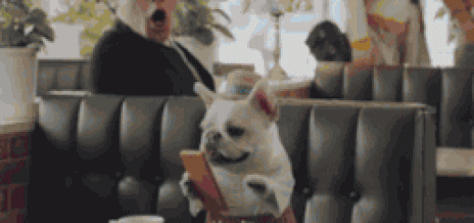 tumblr_o76rzfMAvf1rir0h2o1_400