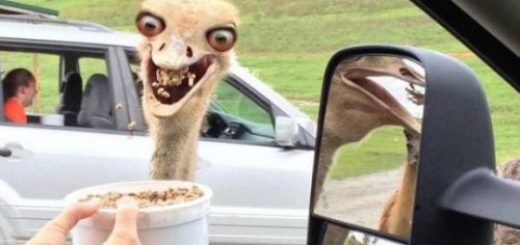 tumblr_o77uujbn5C1rir0h2o1_500