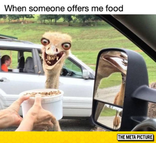 tumblr_o77uujbn5C1rir0h2o1_500