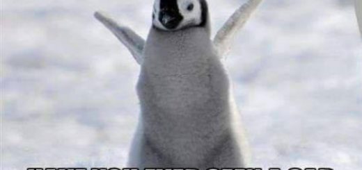 tumblr_o7hqhguFBq1rir0h2o1_500