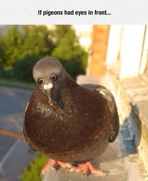 tumblr_o7jf3nKzmU1rir0h2o1_500