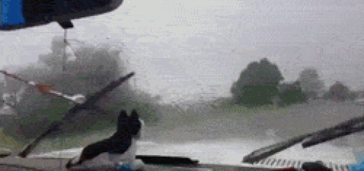 tumblr_o7jj9h0y3G1rir0h2o1_250