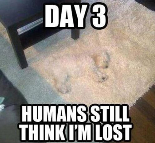 tumblr_o91283dELE1rir0h2o1_500