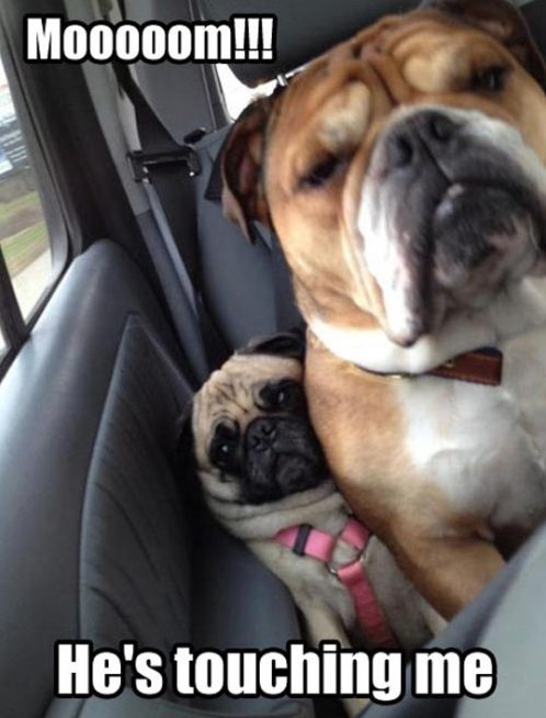 tumblr_o91pi7zsbW1rir0h2o1_500