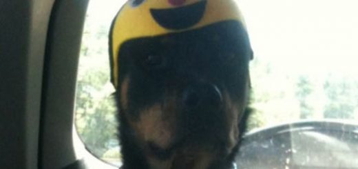 tumblr_o91wx9zg4H1rir0h2o1_500