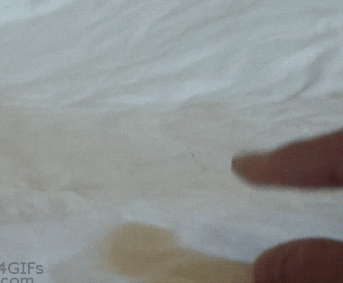 tumblr_o927e1S2Rl1rir0h2o1_400