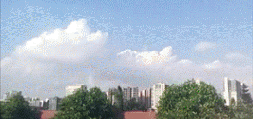 tumblr_o92e7fFyqO1t0gs1do1_400