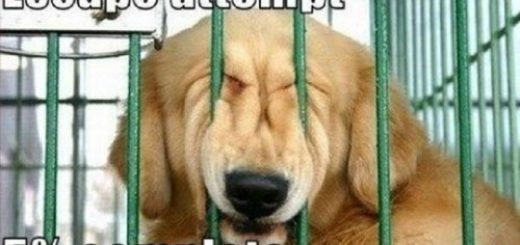 tumblr_o92q1cUE8j1tp42tfo1_500