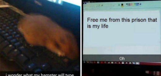 tumblr_o2rcs8X8an1qewacoo1_500