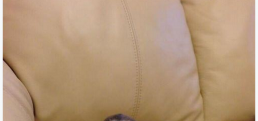 tumblr_o2xt9e9qXO1rkbqbko1_500