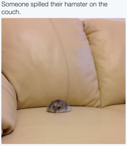 tumblr_o2xt9e9qXO1rkbqbko1_500