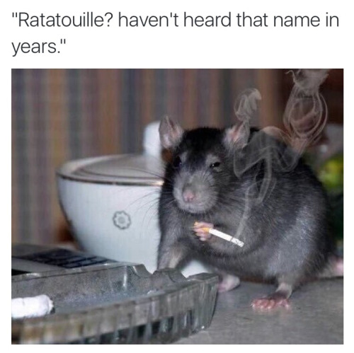 tumblr_o9152qRrYN1tm1x8po1_500