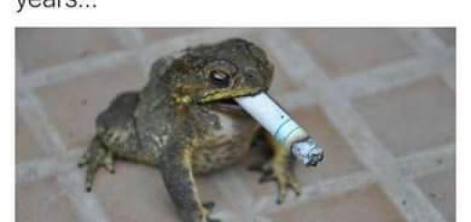 tumblr_o9cqt1BNiA1uj4nsco1_400