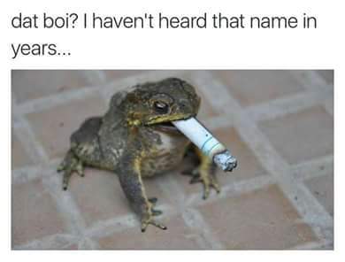 tumblr_o9cqt1BNiA1uj4nsco1_400