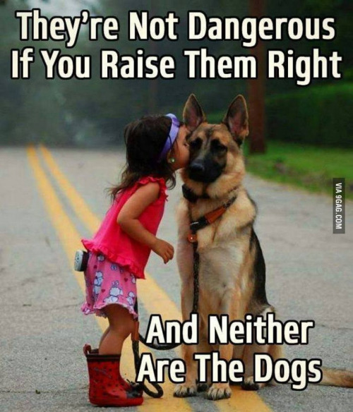 tumblr_o9hgwcLKEk1qhi5qbo9_500