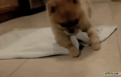 tumblr_o9ja6mYN5j1qzag1wo1_500