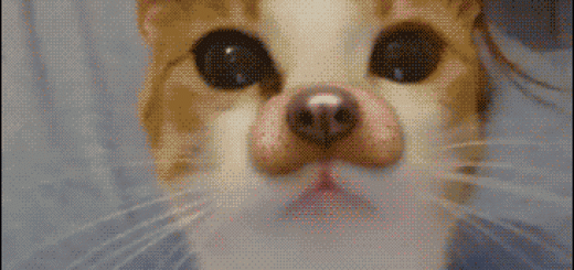 tumblr_o9jfzafW4e1tlb56zo1_400