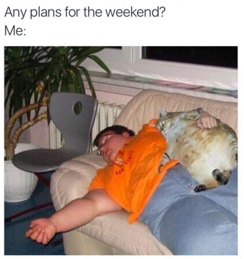 tumblr_o9k5mex0lb1uvjotlo1_500