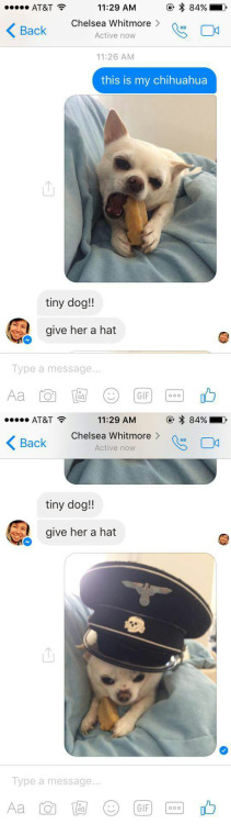 tumblr_o9niuksS3L1t0gs1do1_500