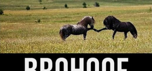 tumblr_o9nk3vK9x11rir0h2o1_500