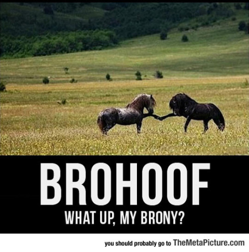 tumblr_o9nk3vK9x11rir0h2o1_500