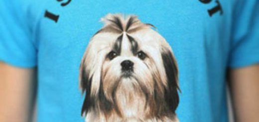 tumblr_o9owcxfOd41rir0h2o1_500