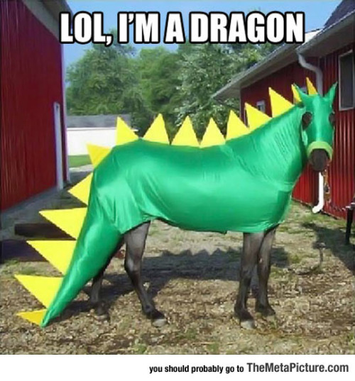 tumblr_oabhanF8Dk1rir0h2o1_500