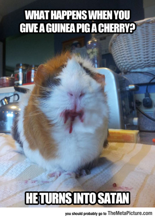 tumblr_oac1roSFZG1rir0h2o1_500