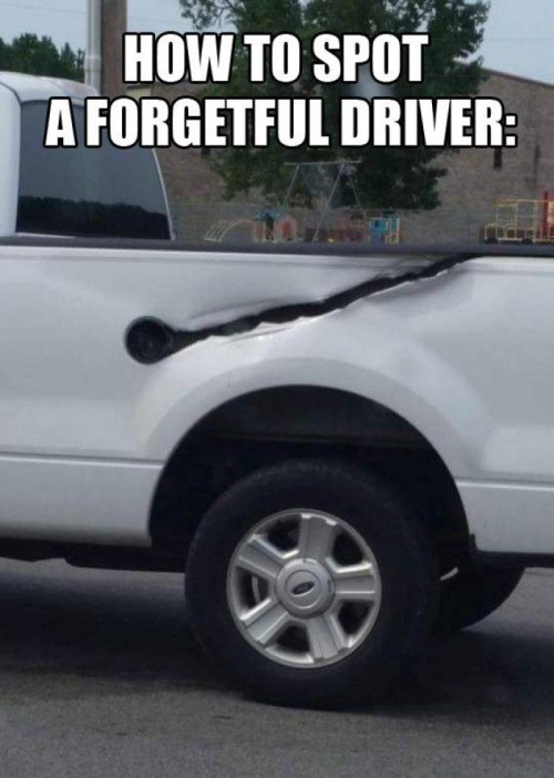 tumblr_oad6j2D2iX1uvjotlo1_500