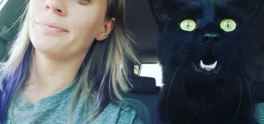 tumblr_oaebxejD031s7fwo7o1_500