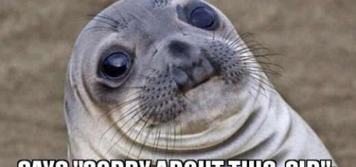 tumblr_oc3dn53rWP1qzag1wo1_500