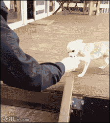 tumblr_oc6qwuEhLJ1tlb56zo1_250