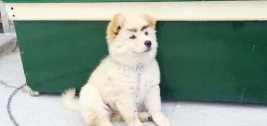 tumblr_ocsb37bdjt1uaturvo1_500