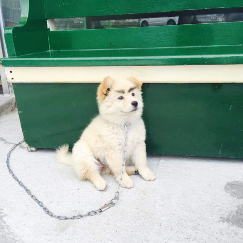 tumblr_ocsb37bdjt1uaturvo1_500