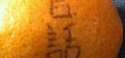 tumblr_odw8cbts5q1r2alapo1_500