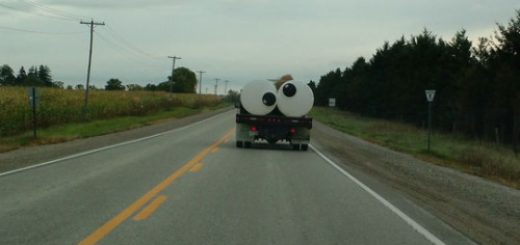 tumblr_odymnx7ifl1rir0h2o1_500