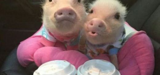 tumblr_odz7rhmpwf1rir0h2o1_500