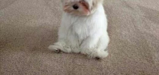 tumblr_oe0eskwynx1rir0h2o1_500