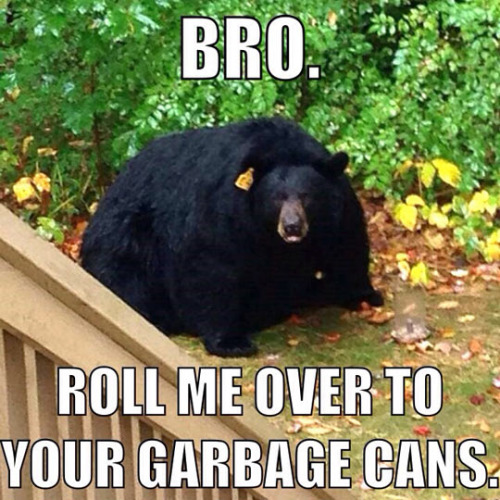 tumblr_oe0joxfzjc1rir0h2o1_500