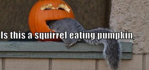 f0a81bd3-2e7c-4477-93e4-0497cad0850b