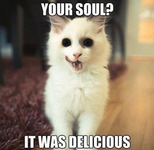 soul-eating-cat