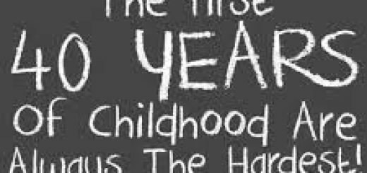 a151f0cd5775df855c2d2edefc5a0149