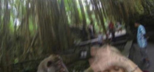 tumblr_ocd6h0v9q01ve0jm4o1_500