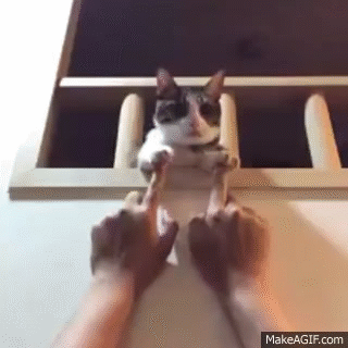 tumblr_ohdxxos0db1rir0h2o1_400