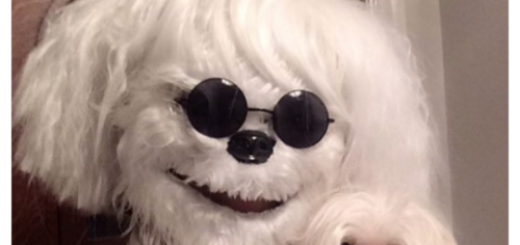 tumblr_ohewwm2ibg1qewacoo1_500