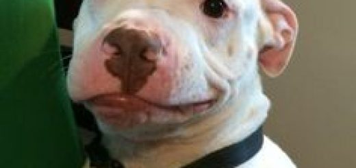 tumblr_inline_o2q8n6rNwC1r02enw_540